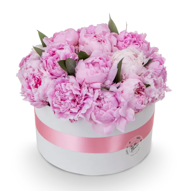 Box růžových pivoněk